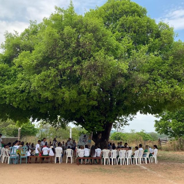Poesia no juá, por Willk Sânia Castro