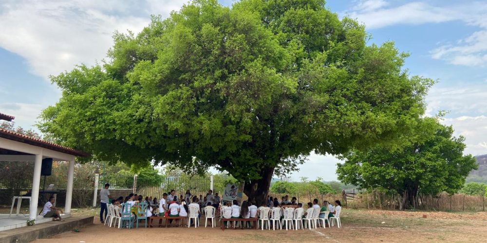 Poesia no juá, por Willk Sânia Castro